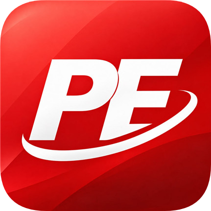  PE  企业内部应用平台 logo